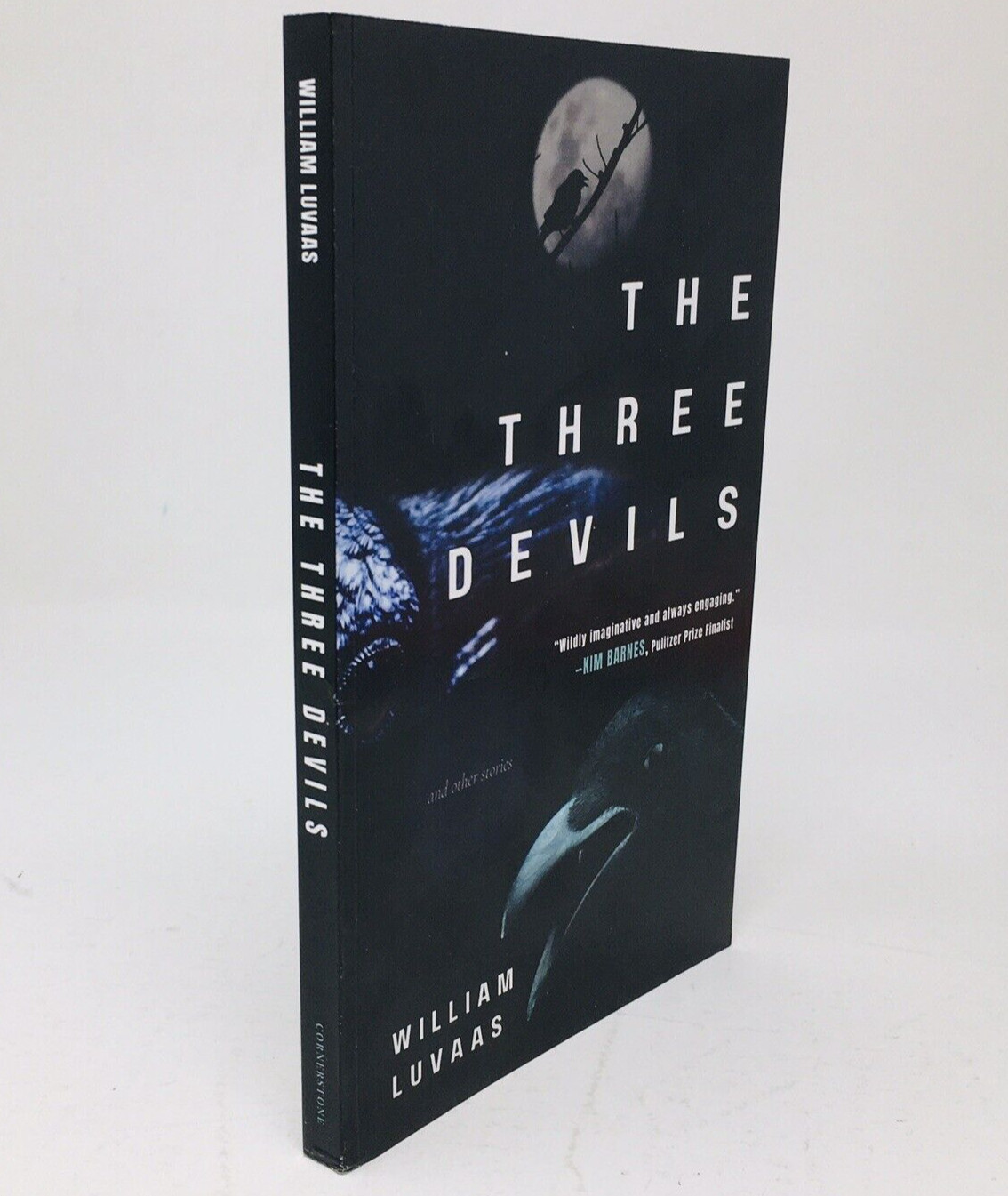 Three Devils ARC by William Luvaas Dystopian Stories Fantasy Climate Doom Proof