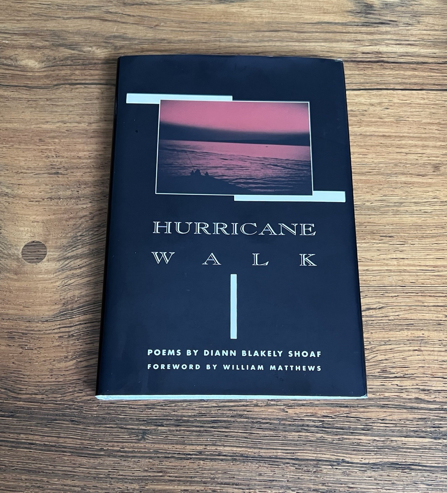 Hurricane Walk Diann Blakely Shoaf Signed First Edition Hardcover