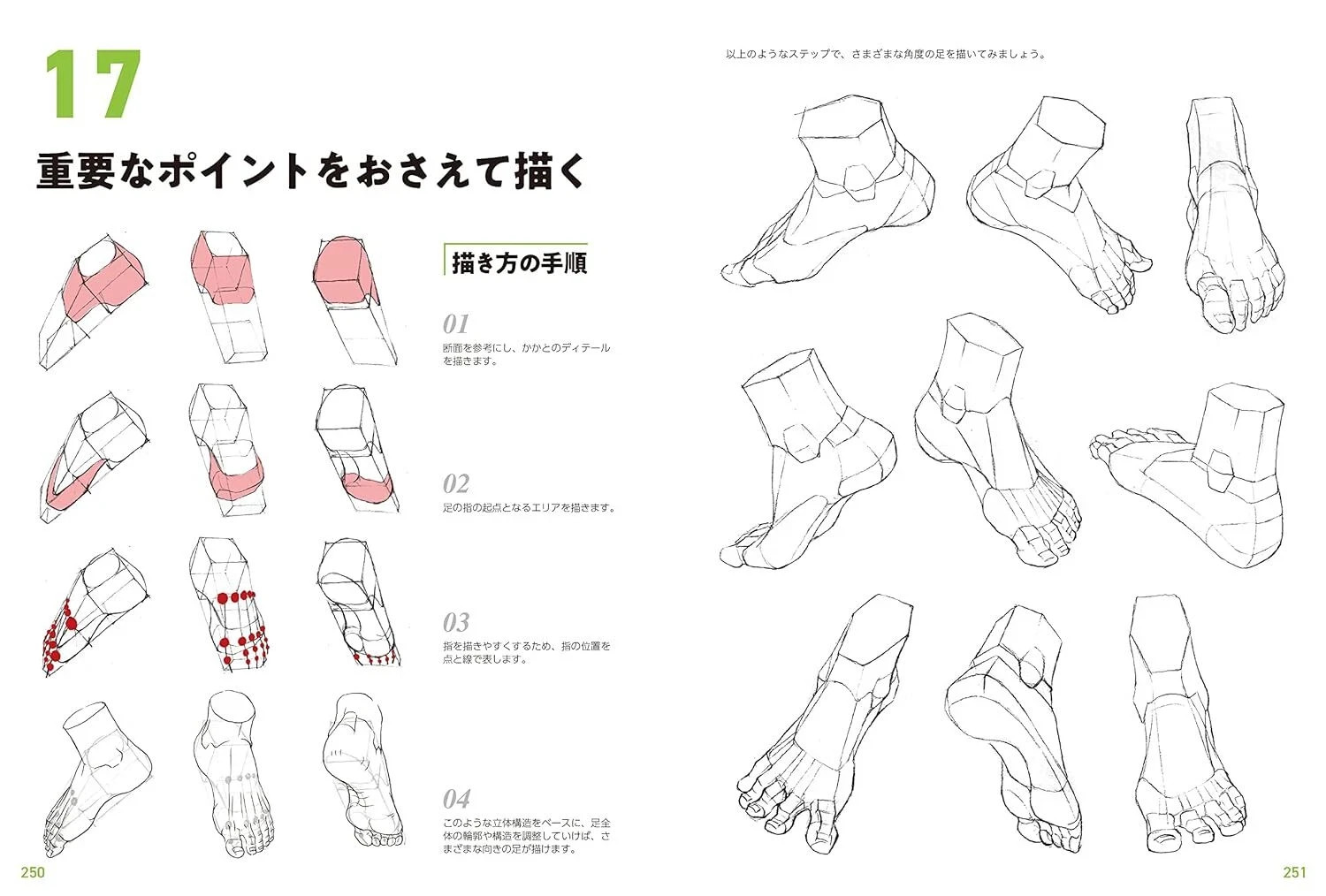 Master Guide of How to Draw Human Body Character Drawing – The Basics Book JPN