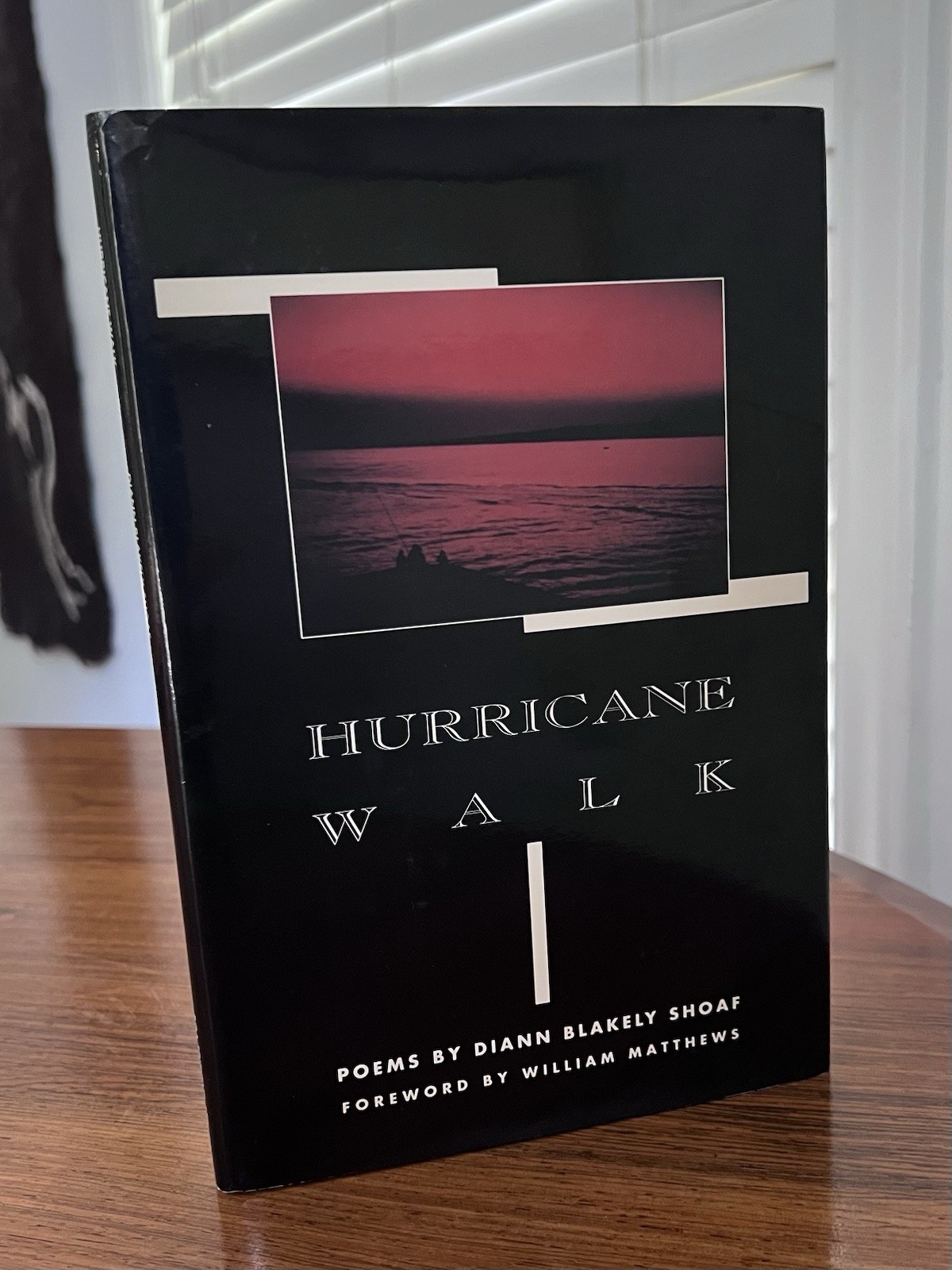 Hurricane Walk Diann Blakely Shoaf Signed First Edition Hardcover
