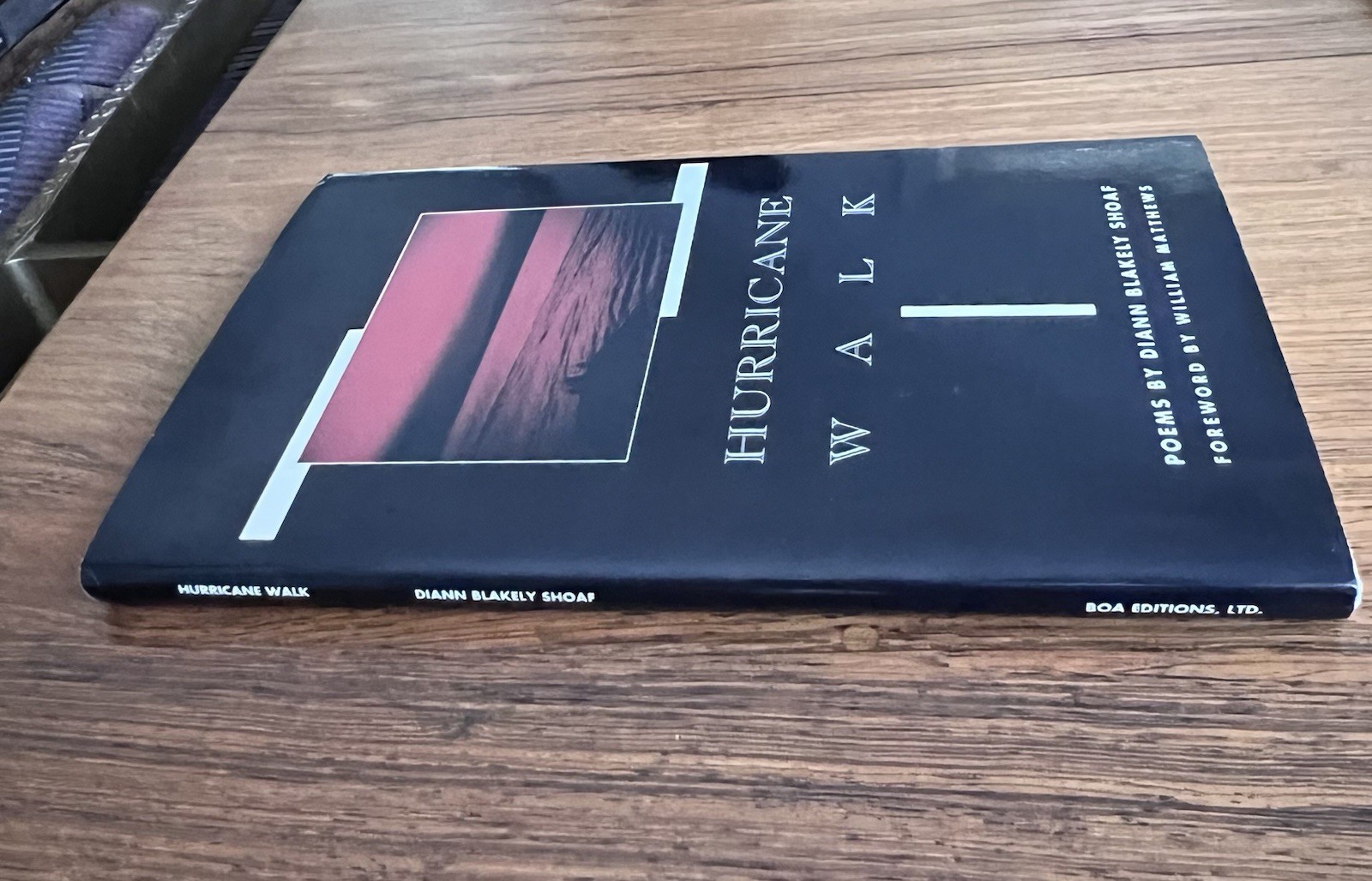 Hurricane Walk Diann Blakely Shoaf Signed First Edition Hardcover