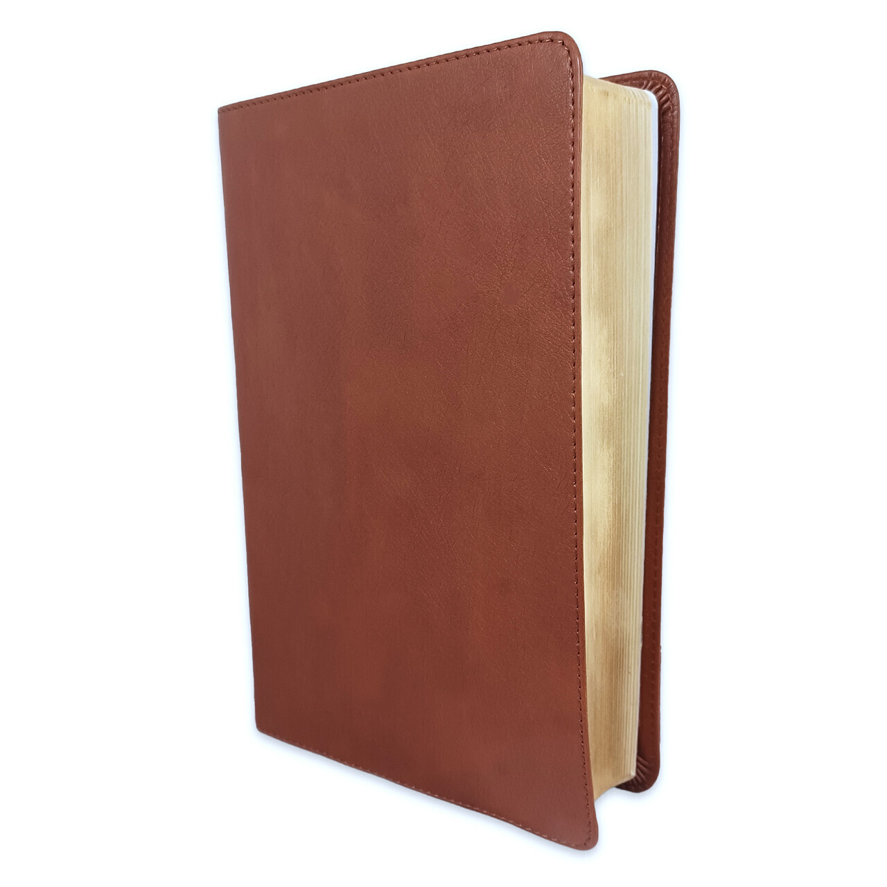 Biblia Bilingue – Bilingual Bible Reina-Valera 1960 ESV English Standard Version
